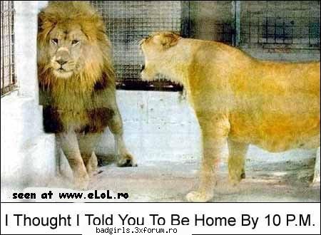 Imagini cu animale:) - ce-i si cu femeile astea - FUNNYPICS