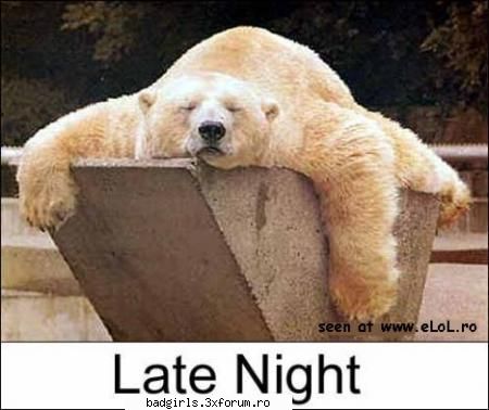 Imagini cu animale:) - betzia:)) pakt k nu se vede sticla de bere:)) - FUNNYPICS