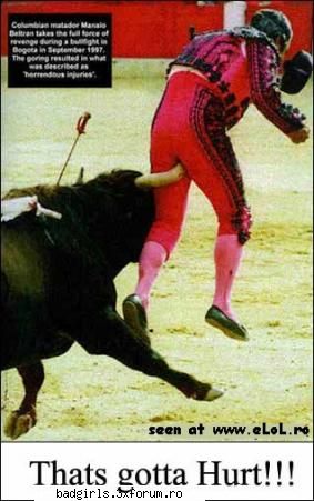 Imagini cu animale:) - like a virgin:)) - FUNNYPICS