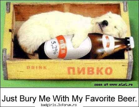 Imagini cu animale:) - vad k in cutie am reusit sa intru,acum am noroc - FUNNYPICS