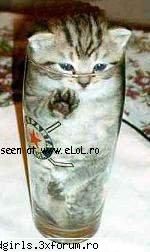 Imagini cu animale:) - u people are...sick - FUNNYPICS