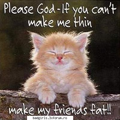 Imagini cu animale:) - 2peysta - FUNNYPICS