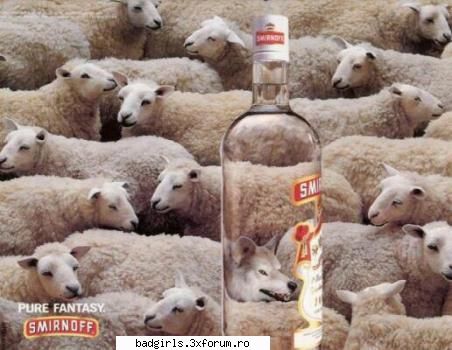 Imagini cu animale:) - Pt lupul din sticla ..aaa...pardon...din tine ! - FUNNYPICS