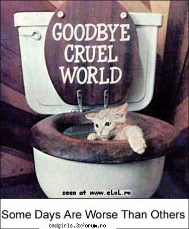 Imagini cu animale:) - adio ... lume cruda ! =( - FUNNYPICS
