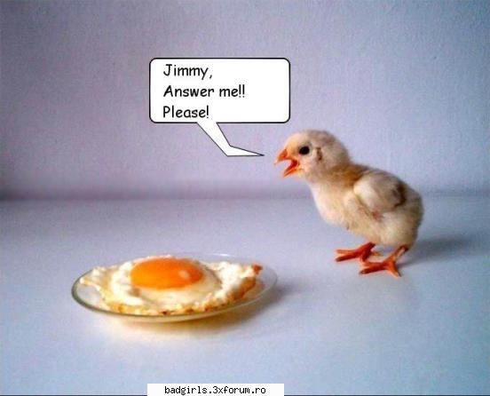 Imagini cu animale:) - 2peysta - FUNNYPICS
