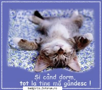 Pozitzii de dormit :))) - carmen`` - FUNNYPICS